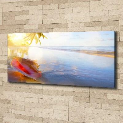 Canvas wall art Beach shell