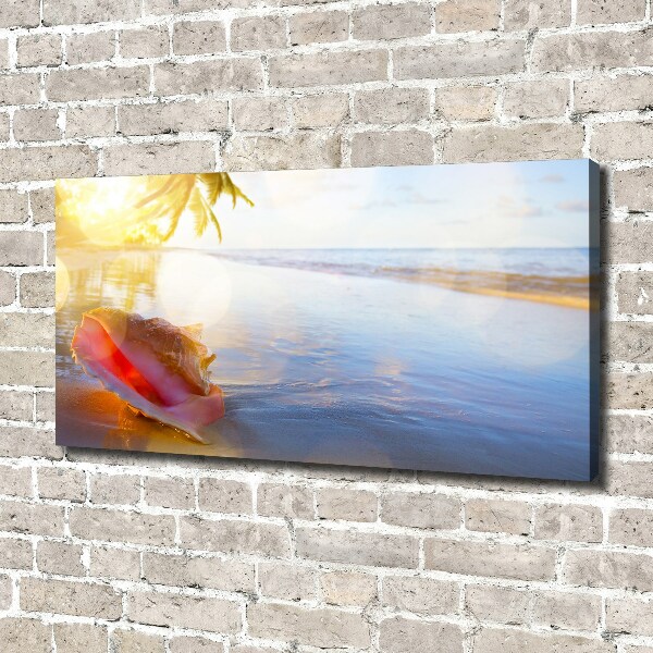 Canvas wall art Beach shell