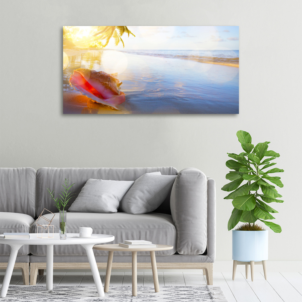 Canvas wall art Beach shell