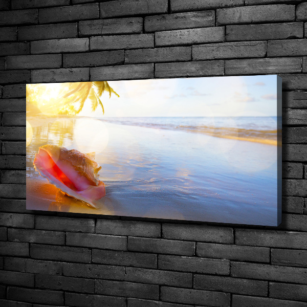 Canvas wall art Beach shell