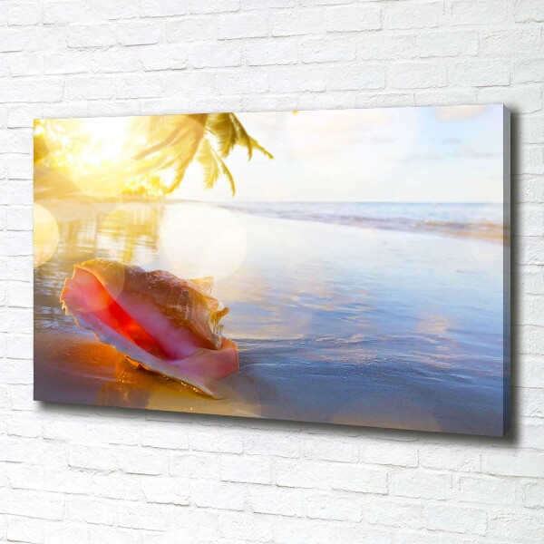 Canvas wall art Beach shell