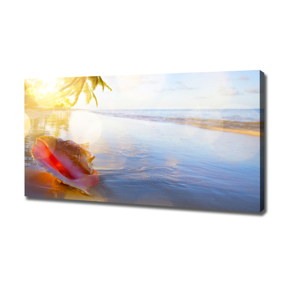 Canvas wall art Beach shell