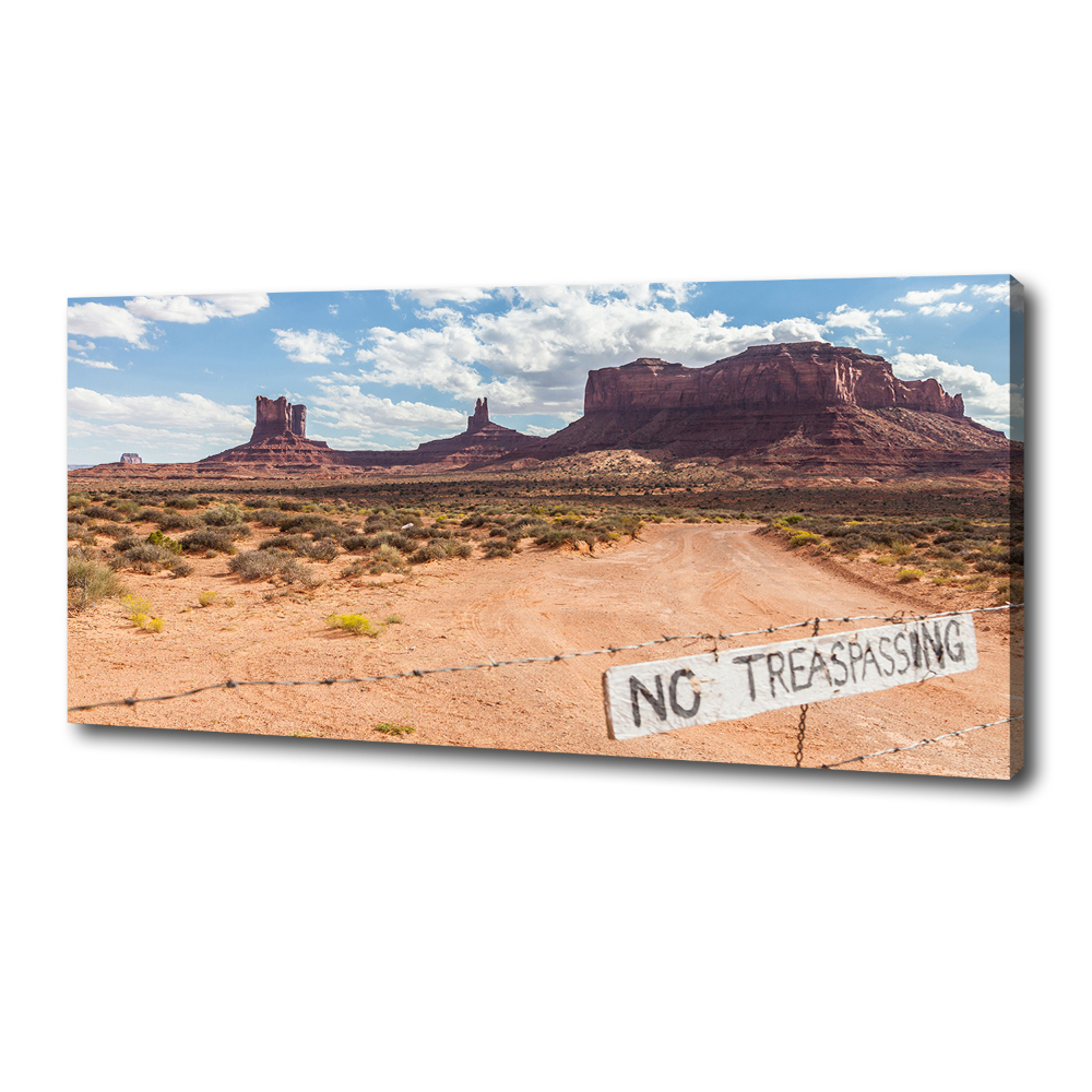 Canvas wall art USA Arizona