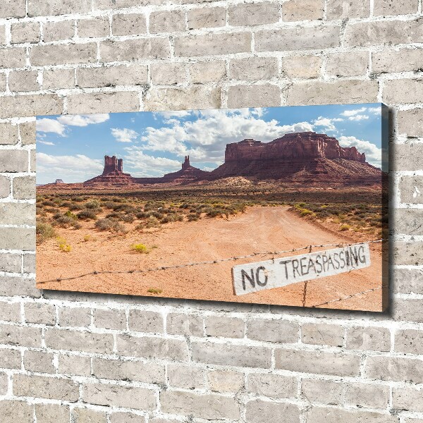 Canvas wall art USA Arizona