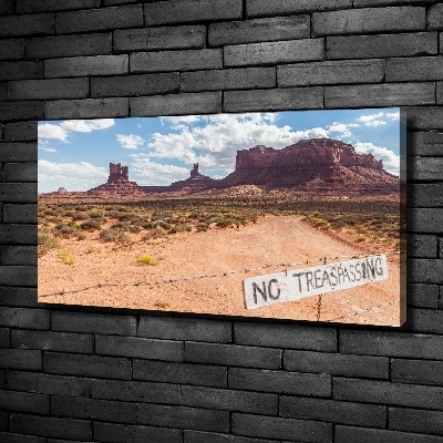 Canvas wall art USA Arizona