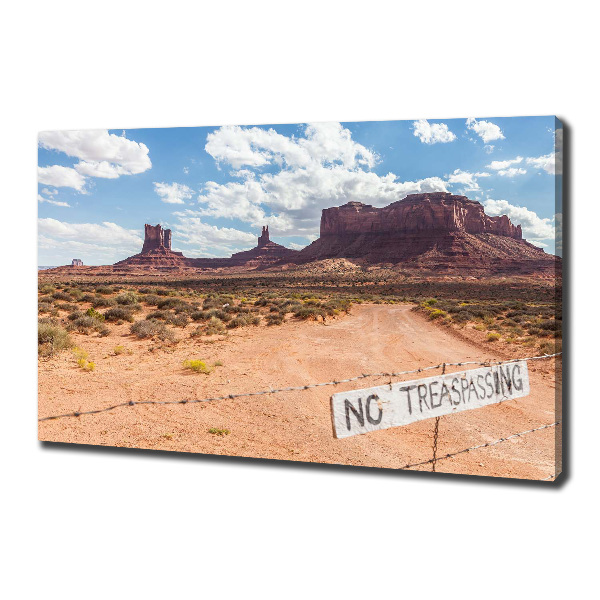 Canvas wall art USA Arizona