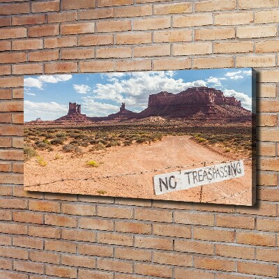 Canvas wall art USA Arizona