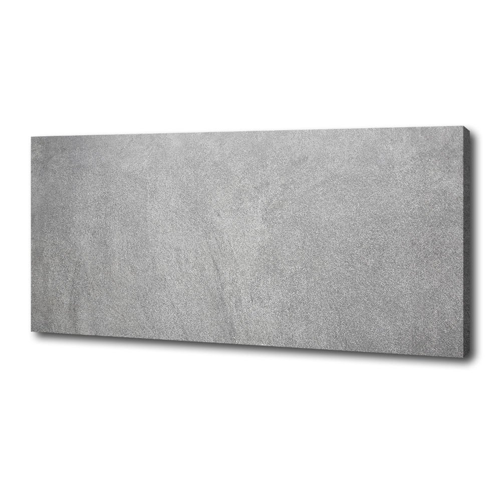 Canvas wall art Gray wall