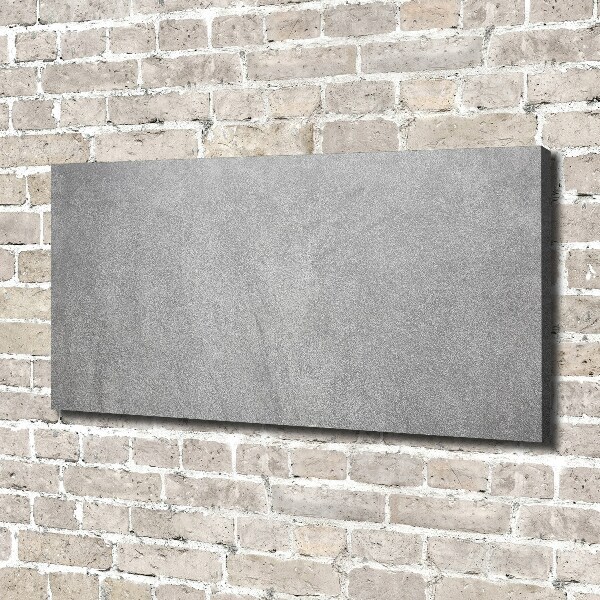 Canvas wall art Gray wall