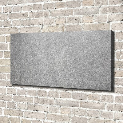 Canvas wall art Gray wall