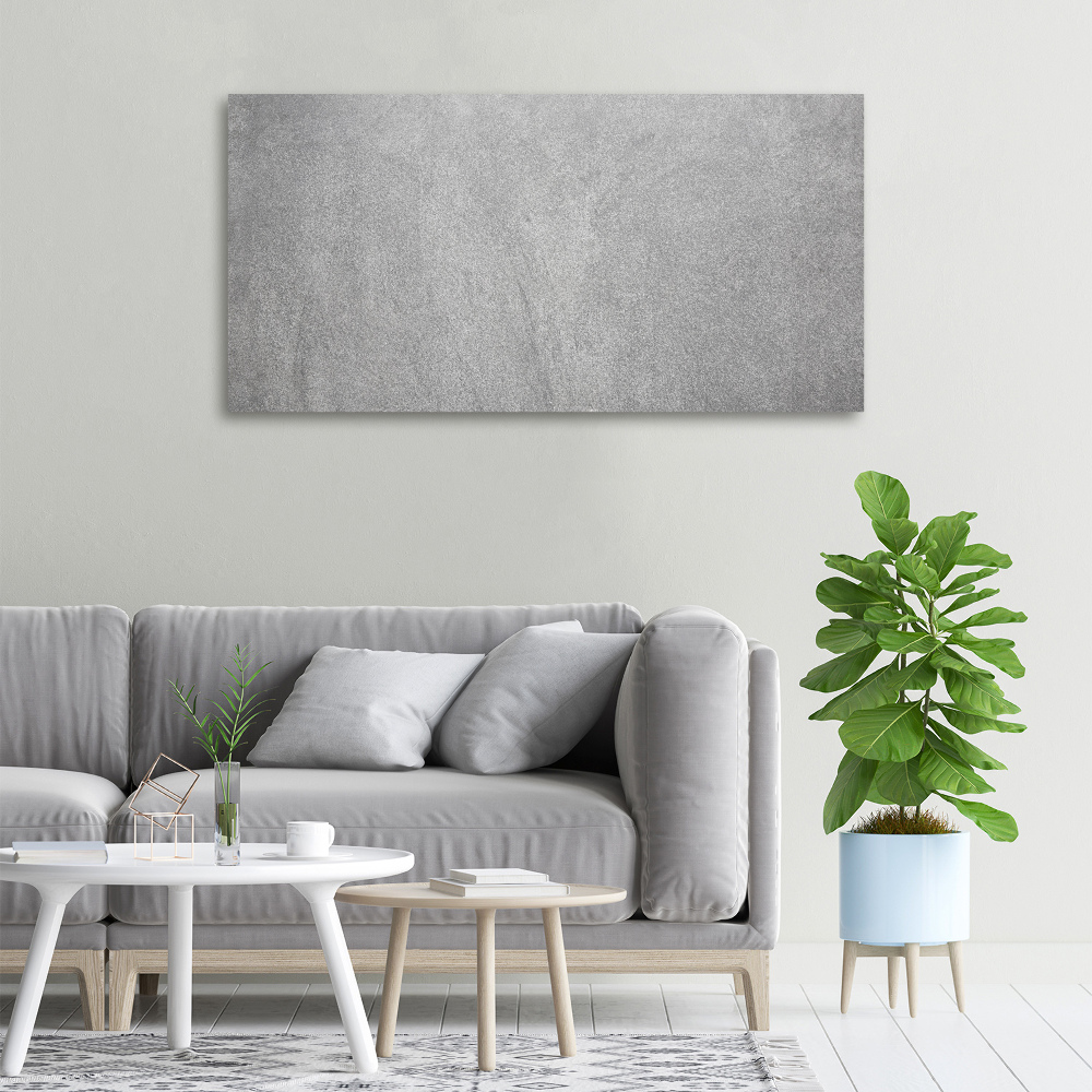 Canvas wall art Gray wall