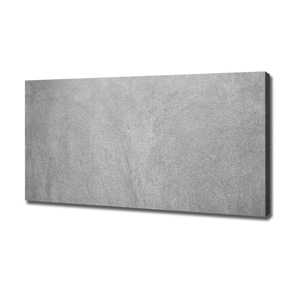 Canvas wall art Gray wall