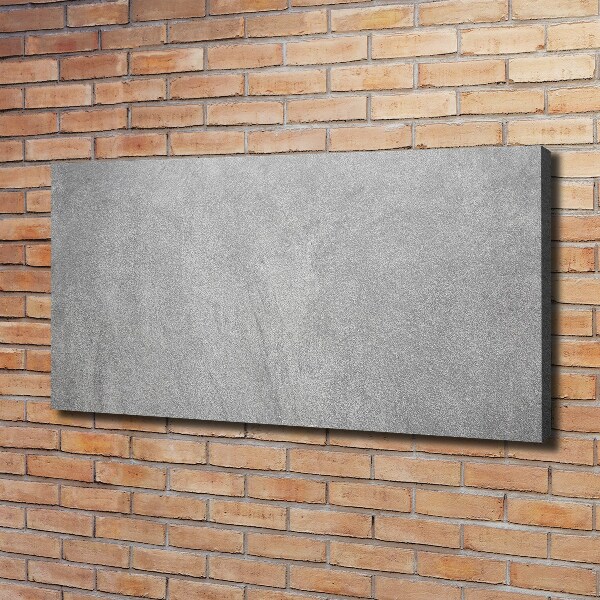 Canvas wall art Gray wall