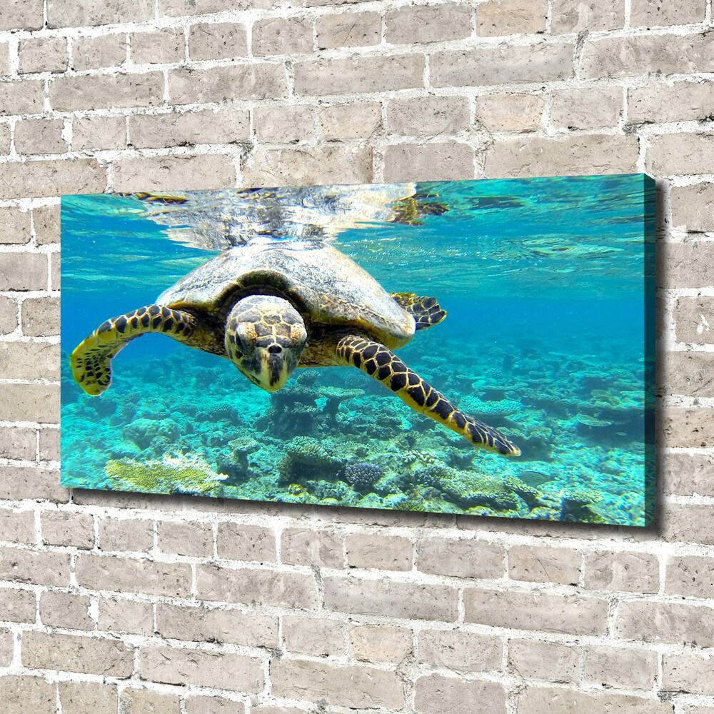 Canvas wall art Sea turtle