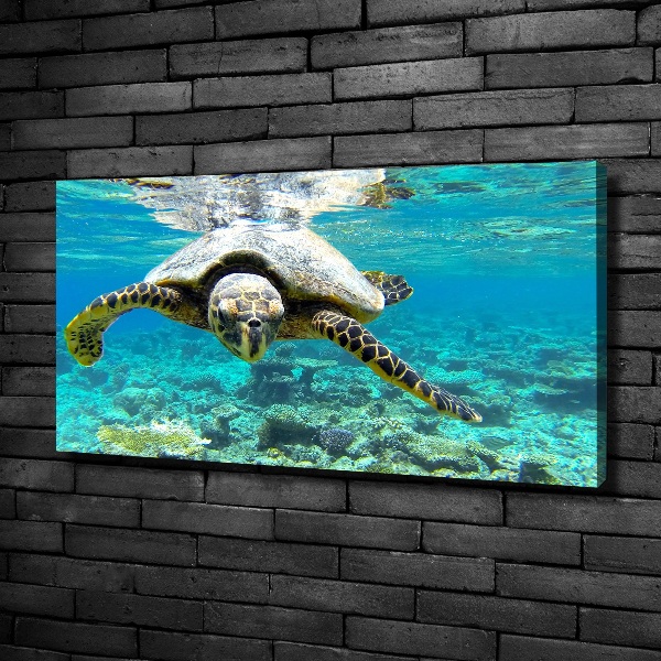 Canvas wall art Sea turtle