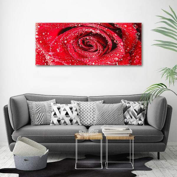 Canvas wall art Drops of water on rose