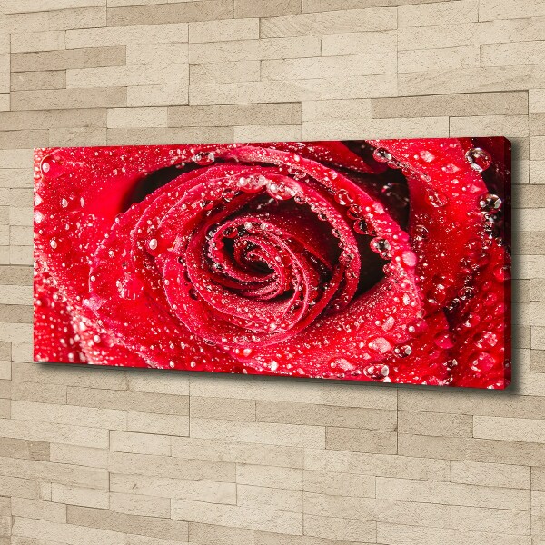 Canvas wall art Drops of water on rose