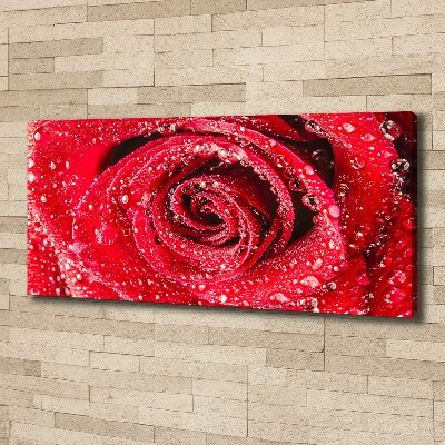 Canvas wall art Drops of water on rose