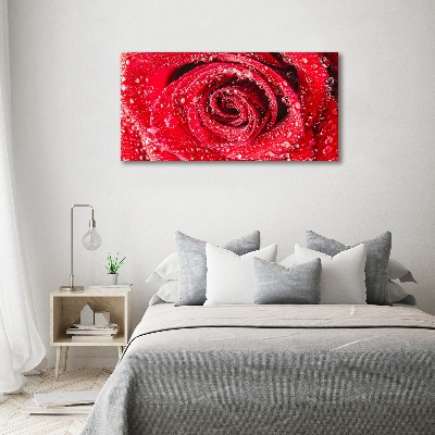 Canvas wall art Drops of water on rose