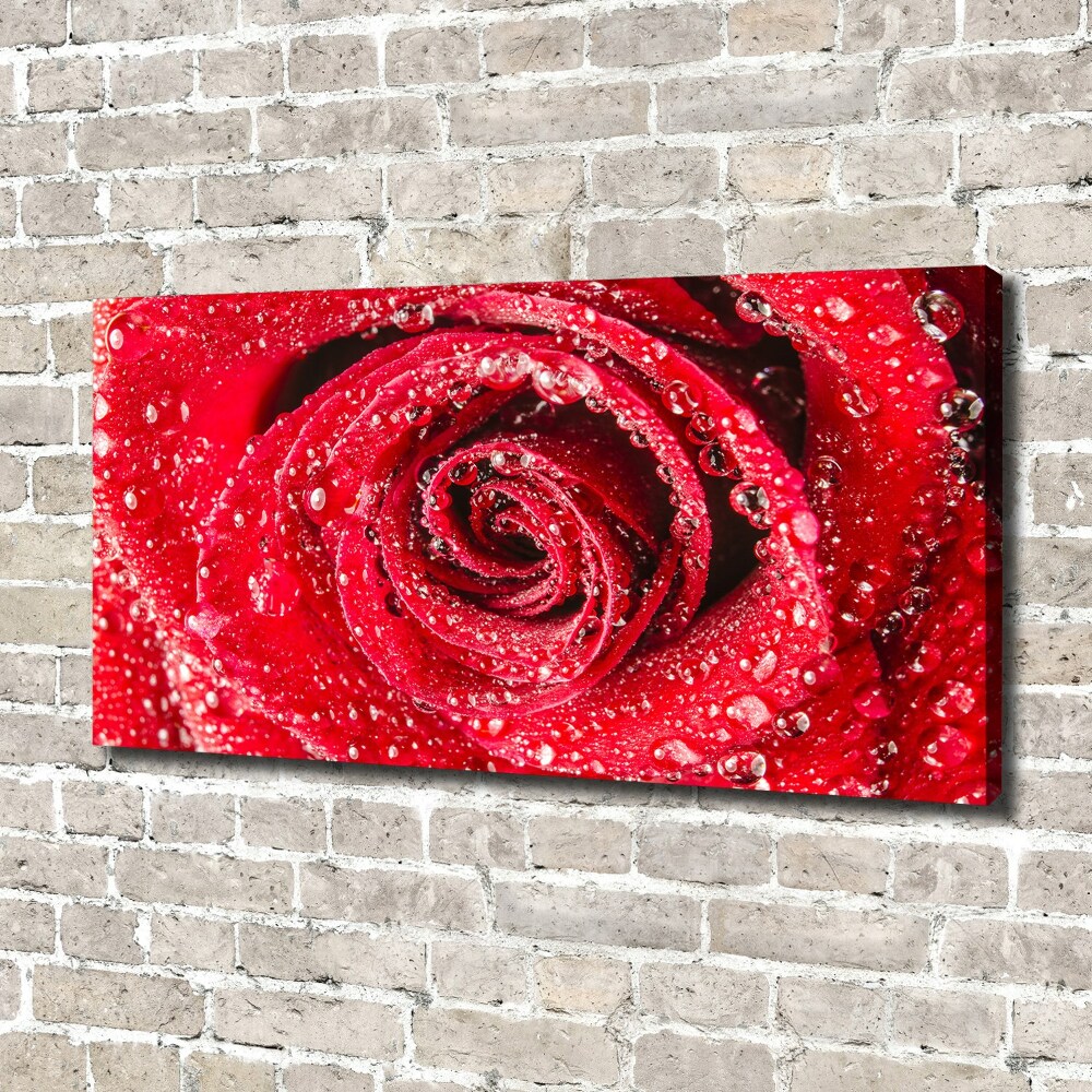 Canvas wall art Drops of water on rose