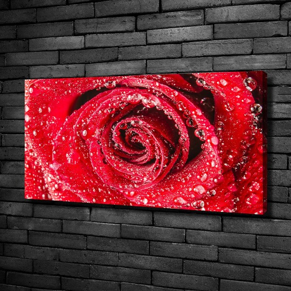 Canvas wall art Drops of water on rose