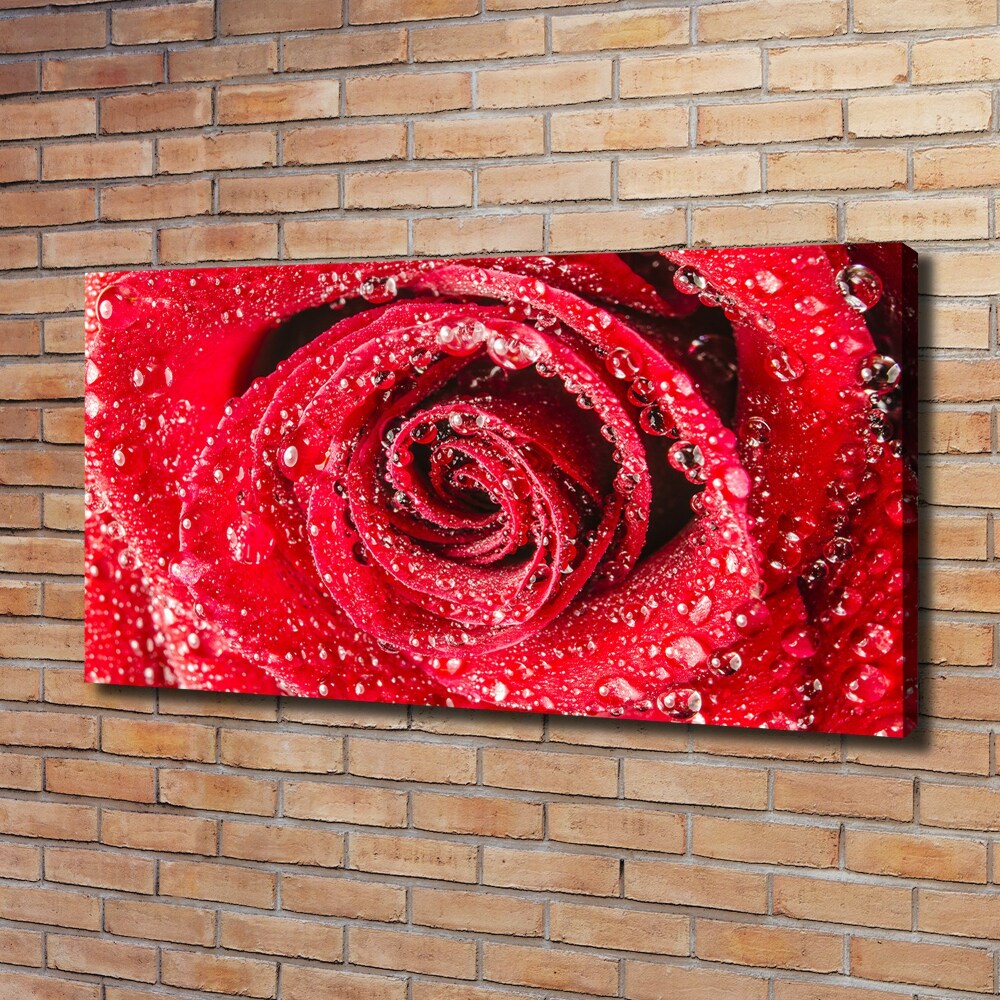 Canvas wall art Drops of water on rose