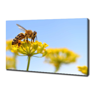 Canvas wall art Bee on a flower