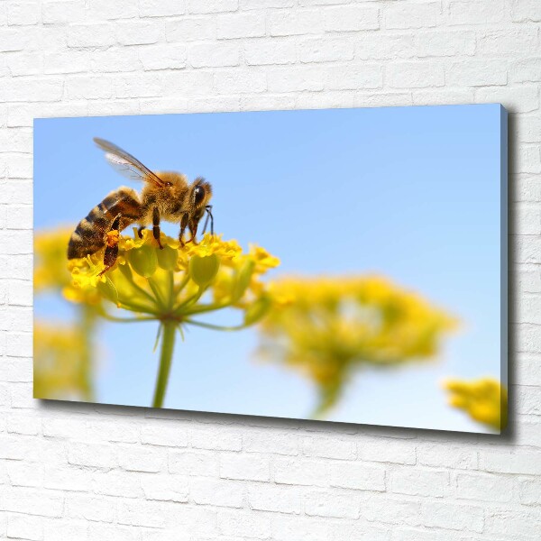 Canvas wall art Bee on a flower