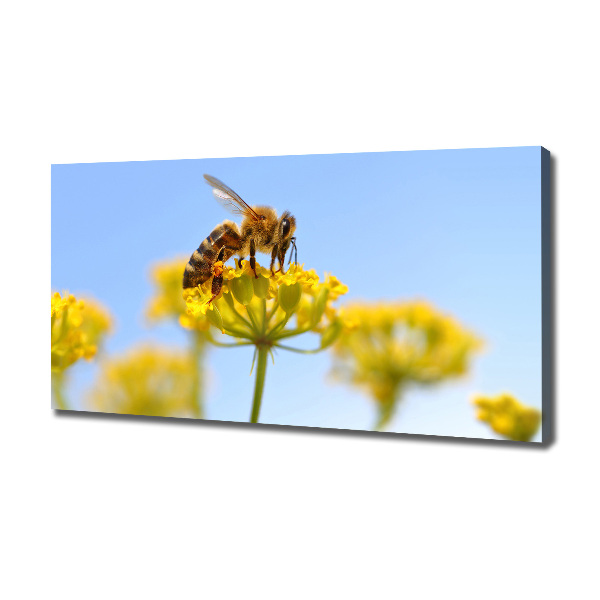 Canvas wall art Bee on a flower