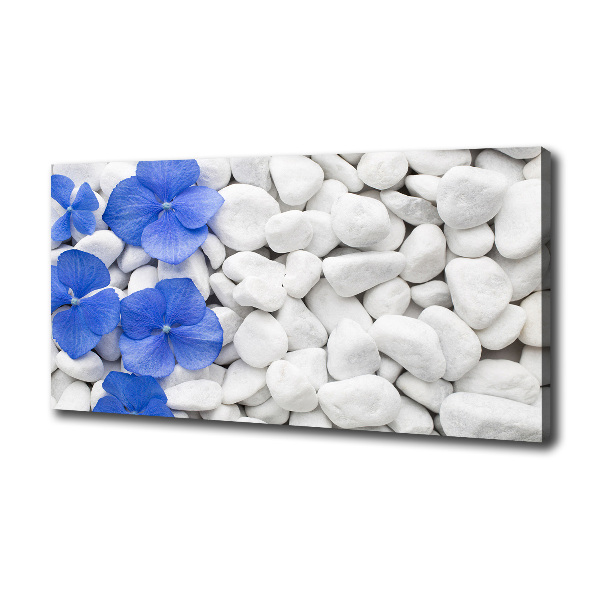 Canvas wall art Hydrangea