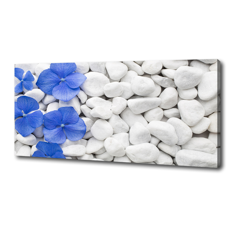 Canvas wall art Hydrangea