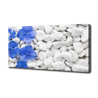 Canvas wall art Hydrangea