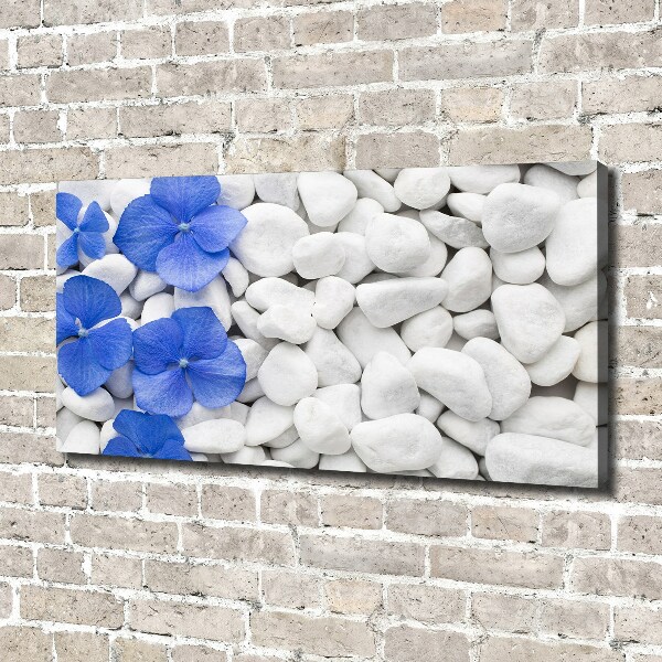 Canvas wall art Hydrangea