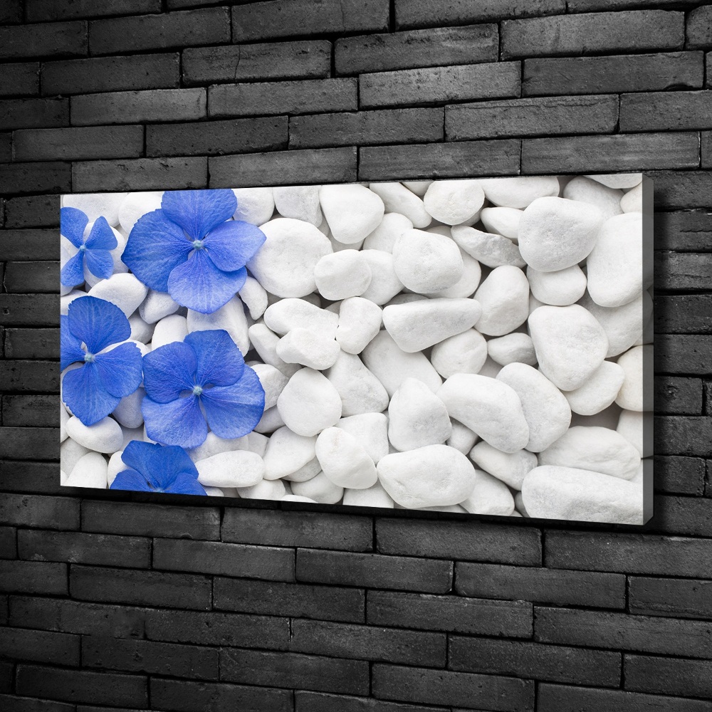 Canvas wall art Hydrangea