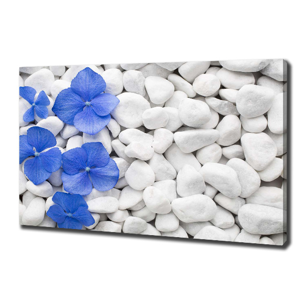 Canvas wall art Hydrangea