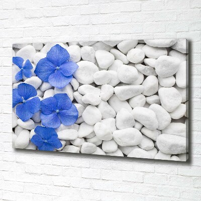 Canvas wall art Hydrangea