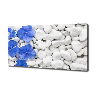 Canvas wall art Hydrangea