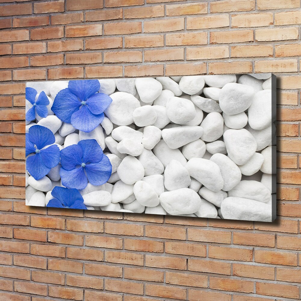 Canvas wall art Hydrangea