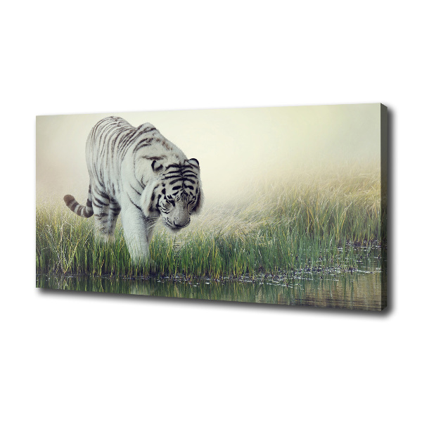 White Tiger