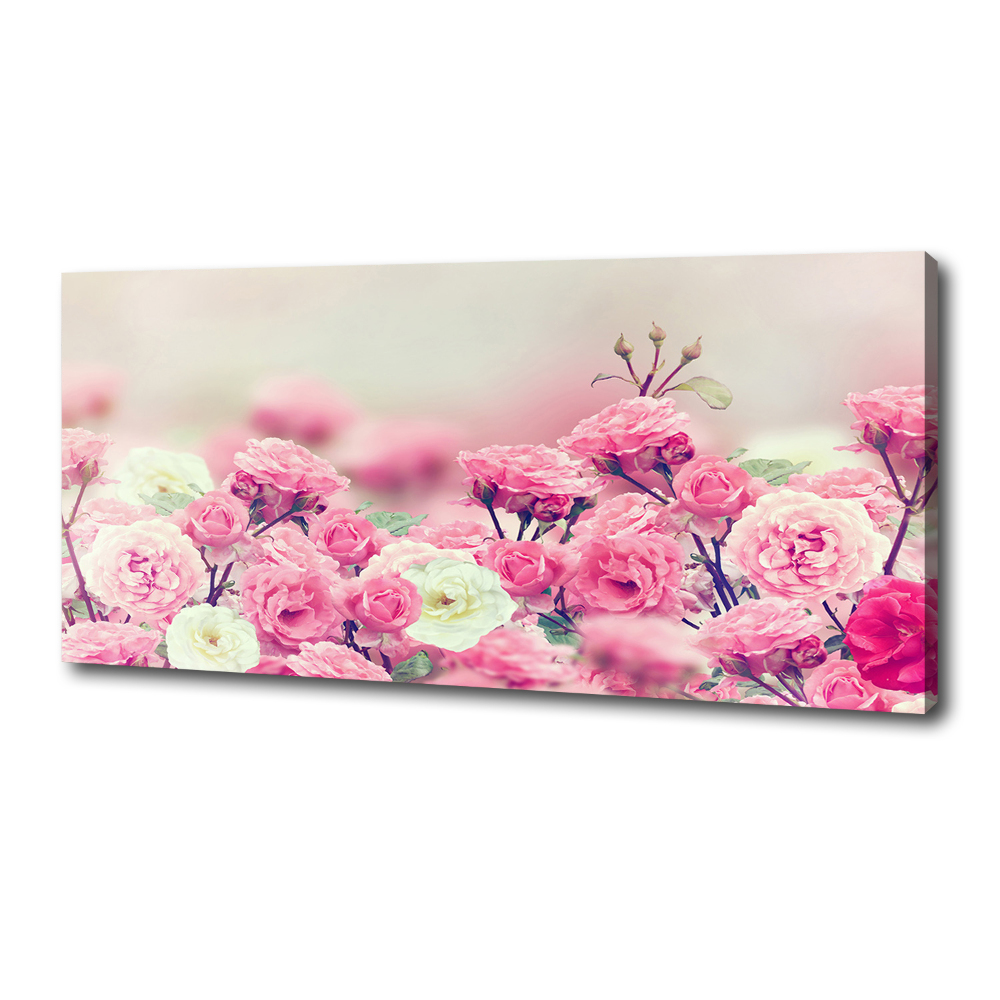 Canvas wall art Wild rose flowers