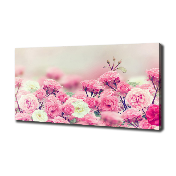 Canvas wall art Wild rose flowers