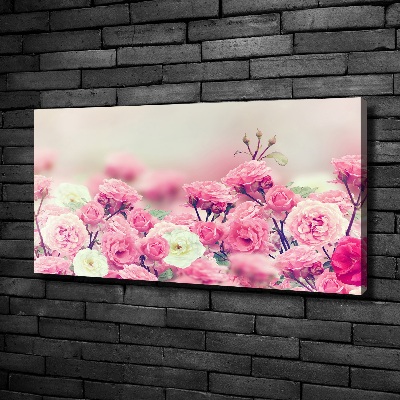 Canvas wall art Wild rose flowers