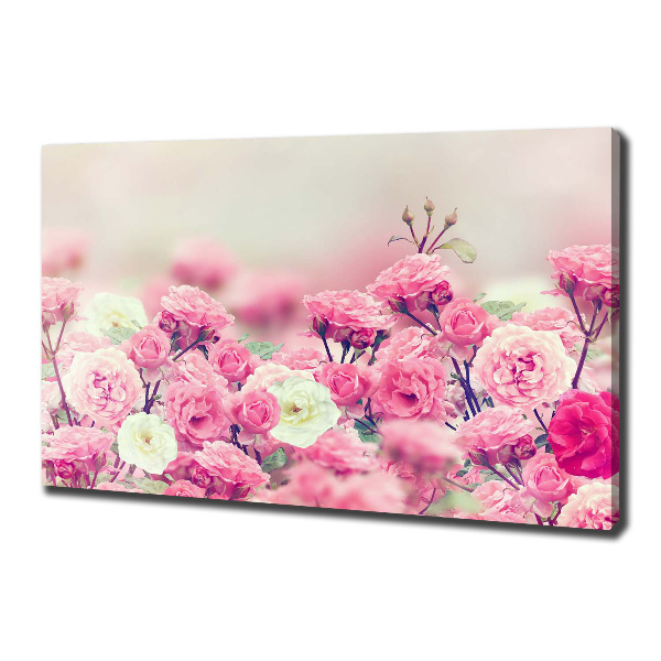 Canvas wall art Wild rose flowers