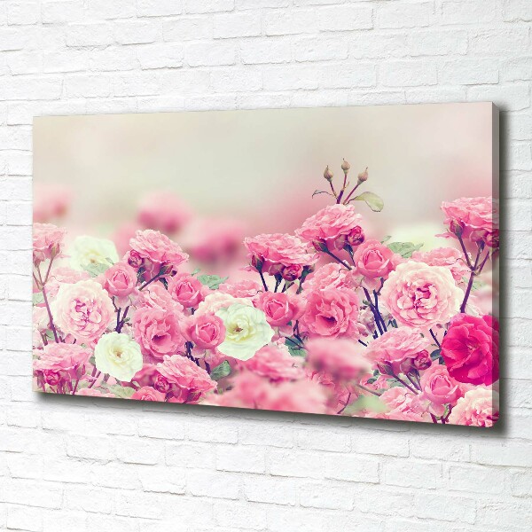 Canvas wall art Wild rose flowers