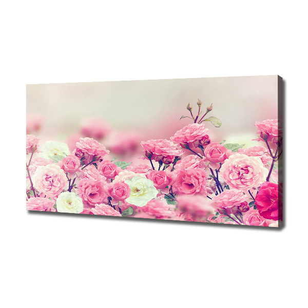 Canvas wall art Wild rose flowers