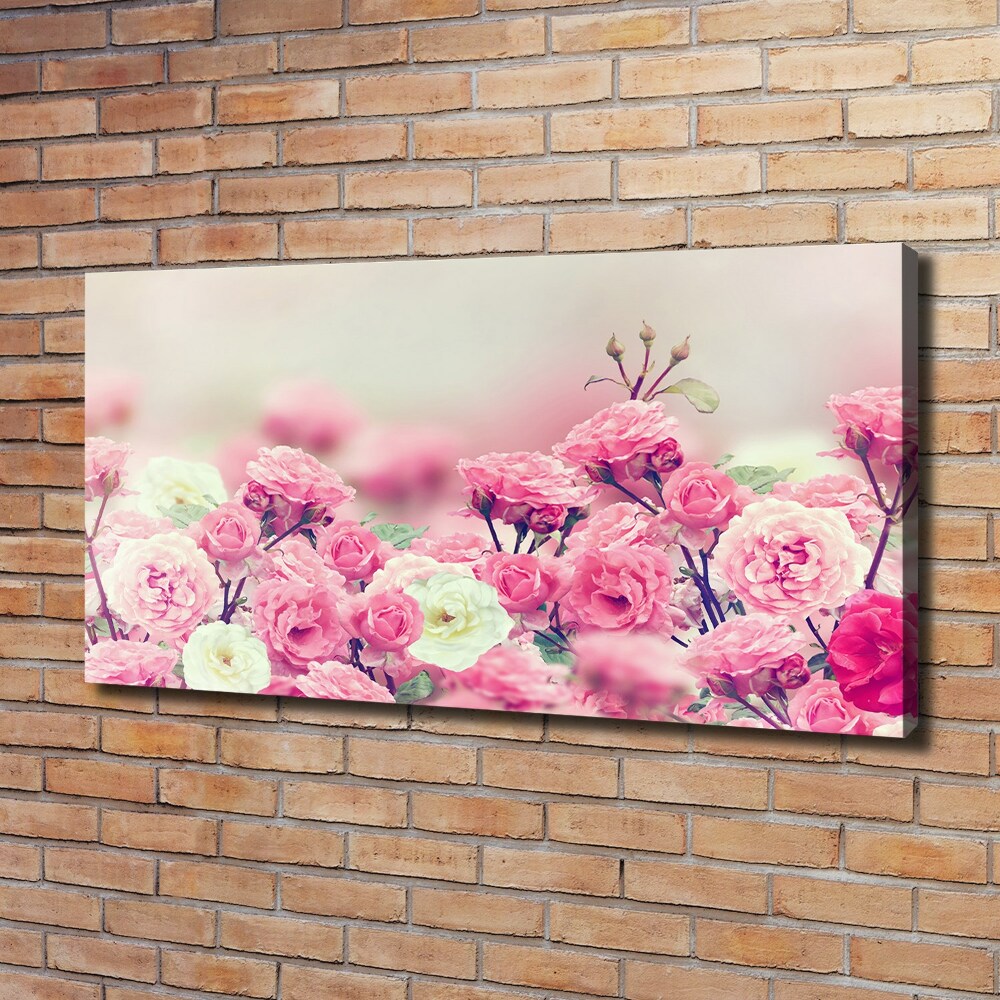 Canvas wall art Wild rose flowers