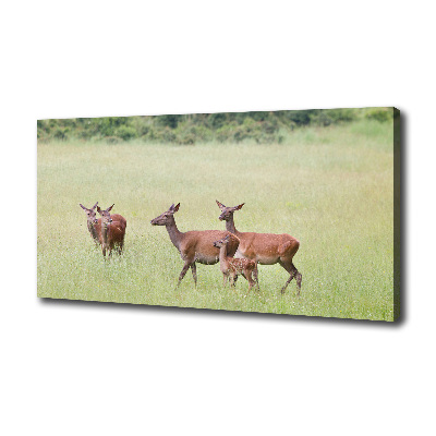 Canvas wall art Deer with young