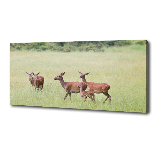 Canvas wall art Deer with young