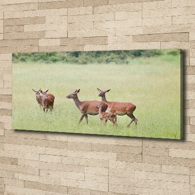 Canvas wall art Deer with young