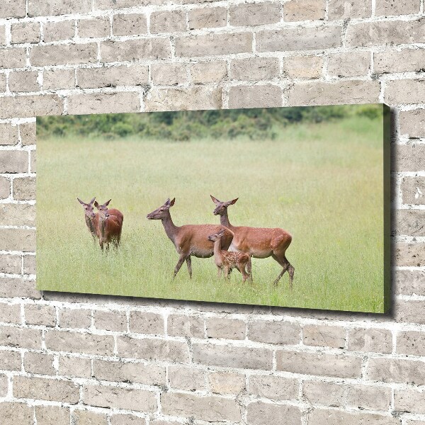 Canvas wall art Deer with young